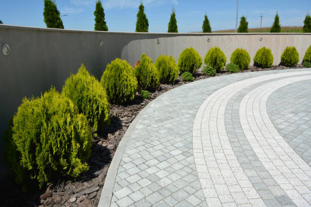 Best Custom Driveway Pavers  in Medford, MN